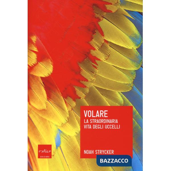 Volare. La straordinaria vita degli uccelli