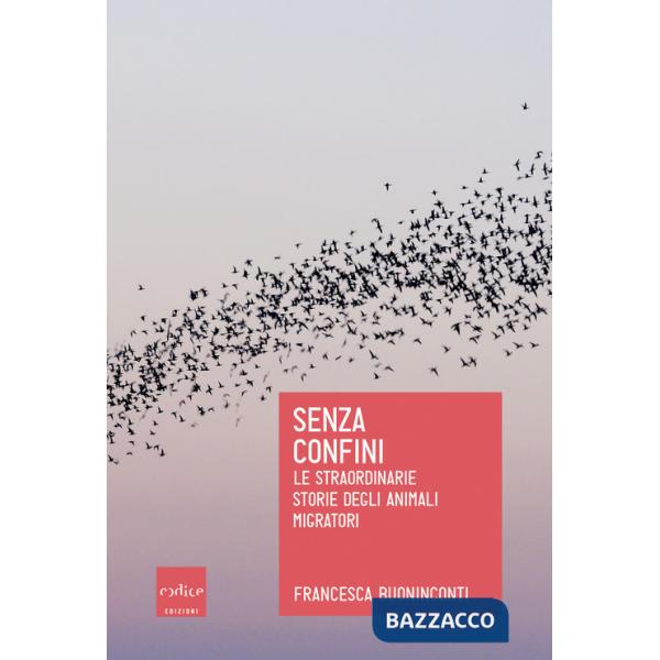 Senza confini. Le straordinarie storie degli animali migratori