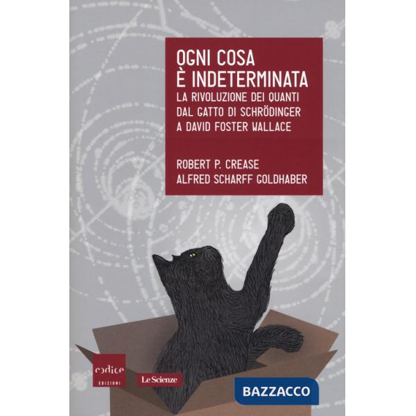 Ogni cosa è indeterminata. La rivoluzione dei quanti dal gatto di Schrödinger a David Foster Wallace