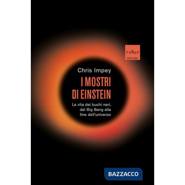 Mostri di Einstein. La vita dei buchi neri, dal Big Bang alla fine dell'universo (I)