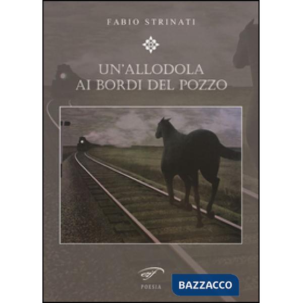 Allodola ai bordi del pozzo (Un')
