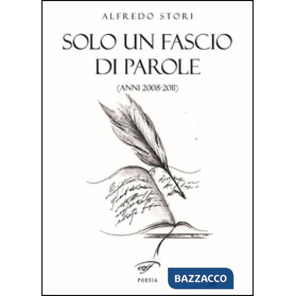 Solo un fascio di parole (anni 2008-2011)