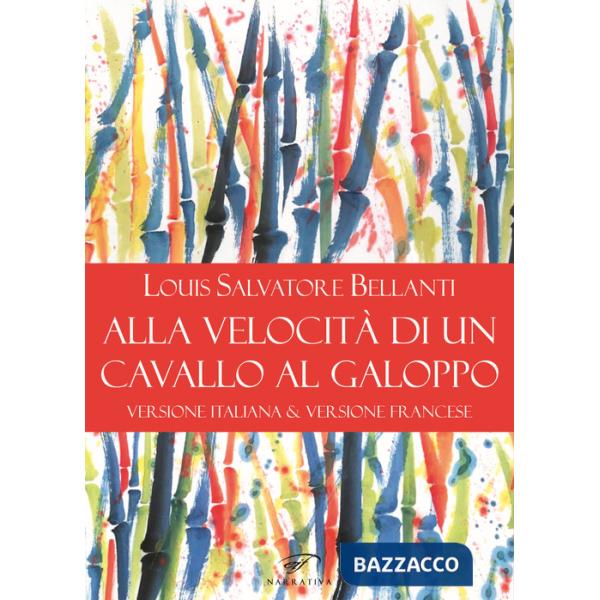 Alla velocità di un cavallo al galoppo. Ediz. italiana e francese