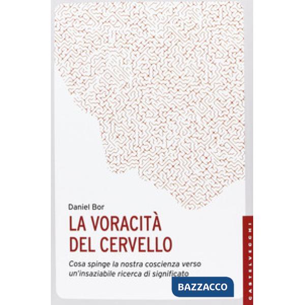 Voracità del cervello. Cosa spinge la nostra coscienza verso un'insaziabile rice