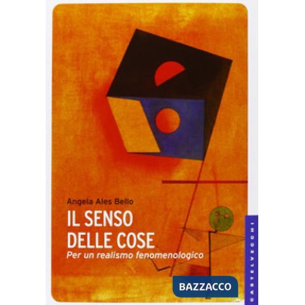 Senso delle cose. Per un realismo fenomenologico (Il)