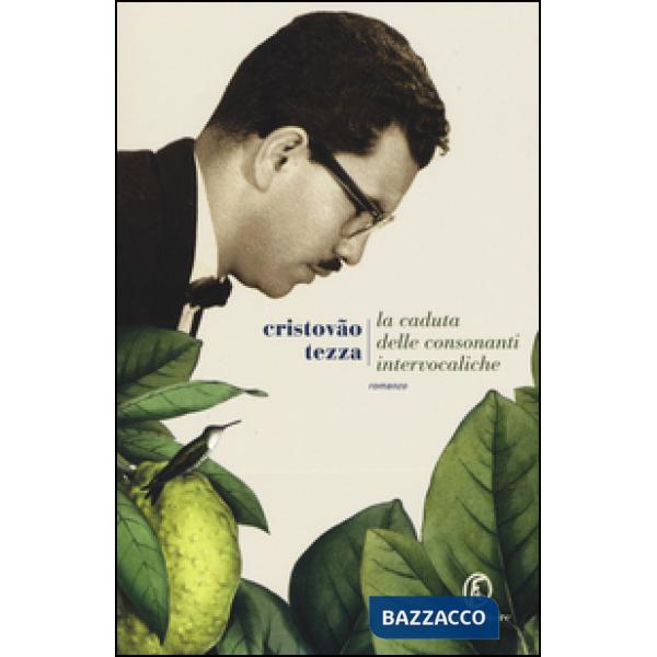 Caduta delle consonanti intervocaliche (La)