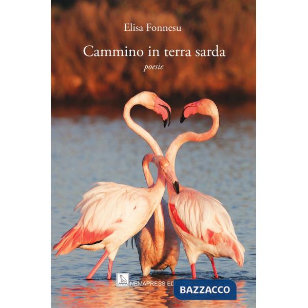 Cammino in terra sarda