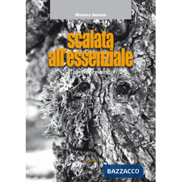 Scalata all'Essenziale
