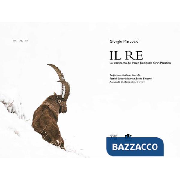 Re. Lo stambecco del Parco Nazionale Gran Paradiso. Ediz. multilingue (Il)