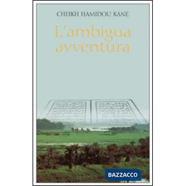 Ambigua avventura (L')