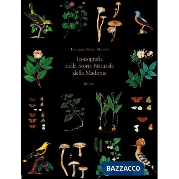 Iconografia della storia naturale delle Madonie. Ediz. illustrata