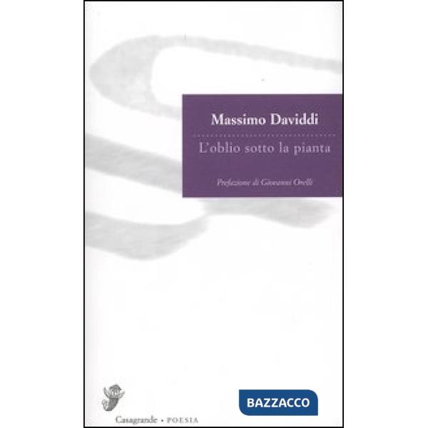 Oblio sotto la pianta (L')