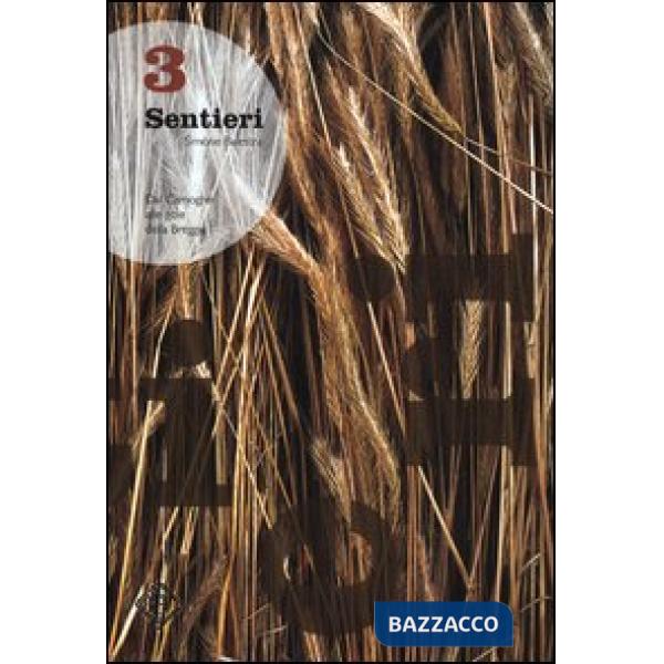 Sentieri. Dal Camoghè alle gole della Breggia. Vol. 3