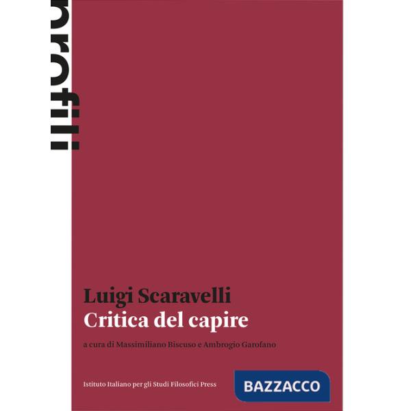 Critica del capire