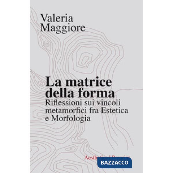 Matrice della forma. Riflessioni sui vincoli metamorfici fra estetica e morfolog