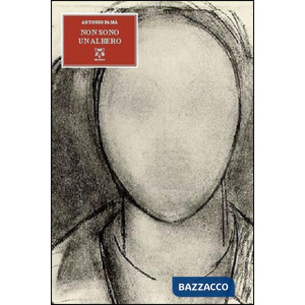 Non sono un albero