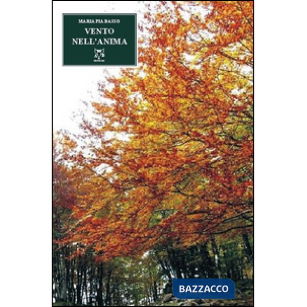 Vento nell'anima