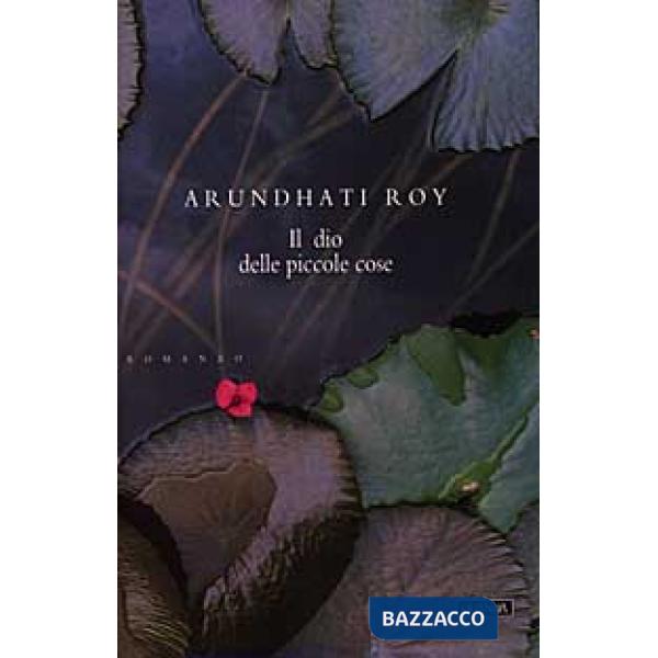 Dio delle piccole cose (Il)