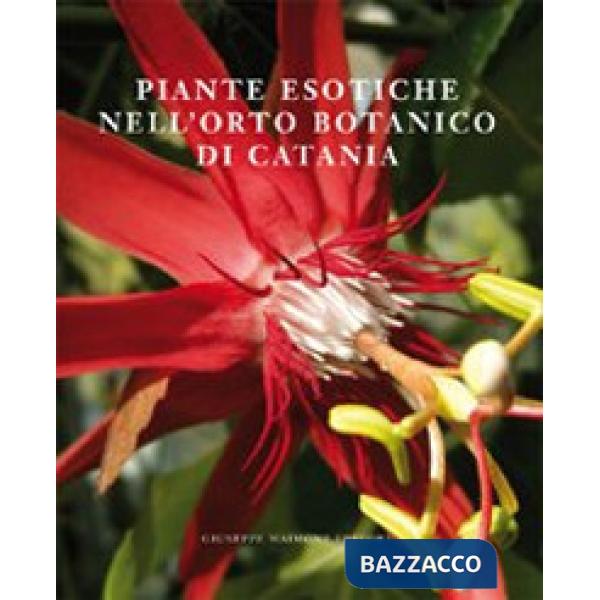 Piante esotiche nell'orto botanico di Catania