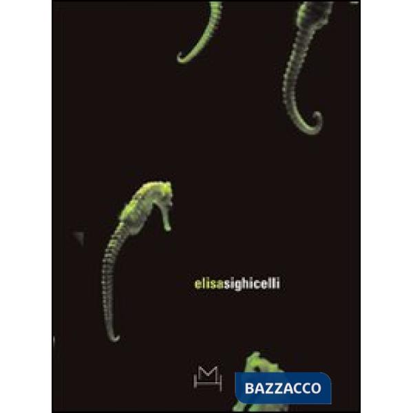 Elisa Sighicelli. Ediz. italiana e inglese