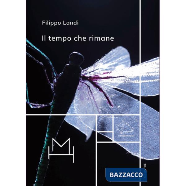 Tempo che rimane (Il)