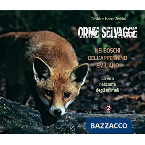 Orme selvagge nei boschi dell'Appennino emiliano. La vta nascosta degli animali.