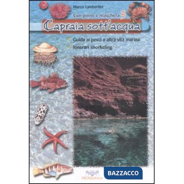 Capraia sott'acqua. Guida ai pesci e altra vita marina. Itinerari snorkeling. Con pinne e maschera. Vol. 3