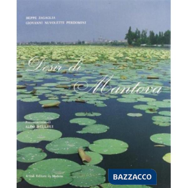 Desir... di Mantova. Ediz. illustrata