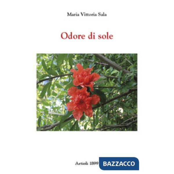 Odore di sole