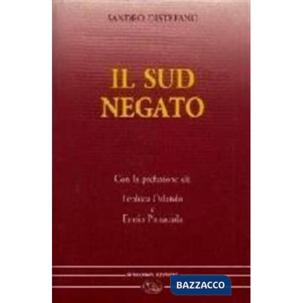 Sud negato (Il)