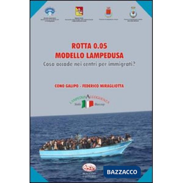 Laposs. Rapporto di monitoraggio 2004-2005. Accordo di programma quadro recupero