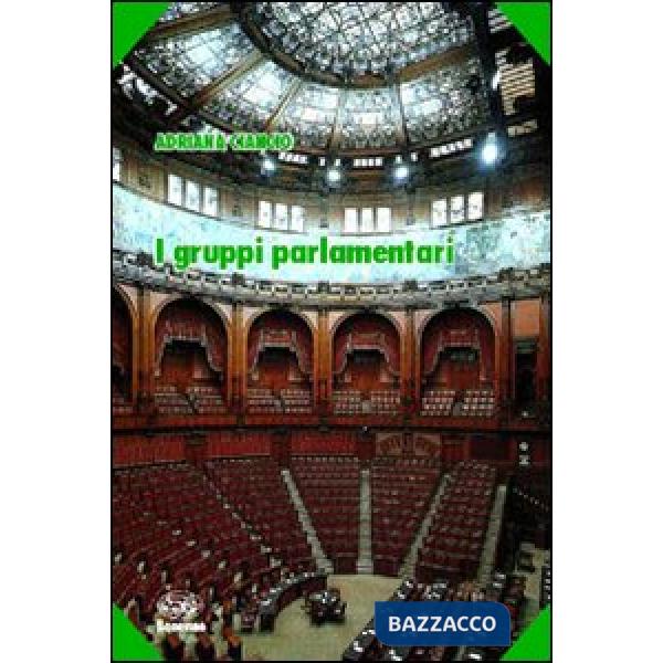 Gruppi parlamentari (I)