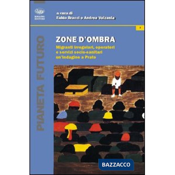 Zone d'ombra. Migranti irregolari, operatori e servizi socio-sanitari