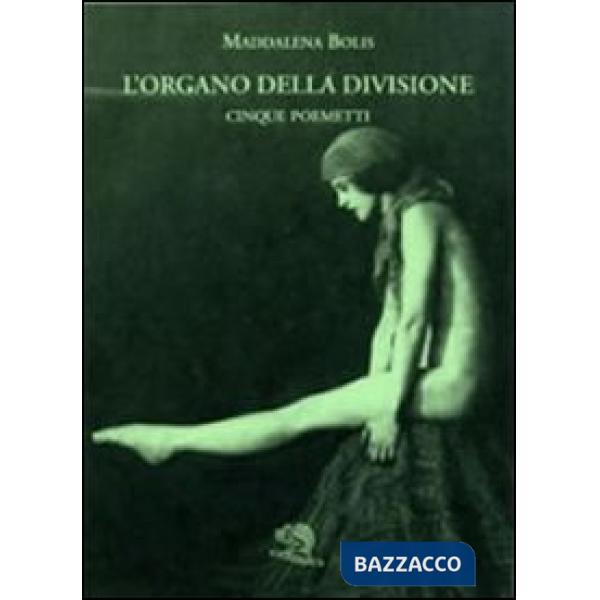 Organo della divisione (L')