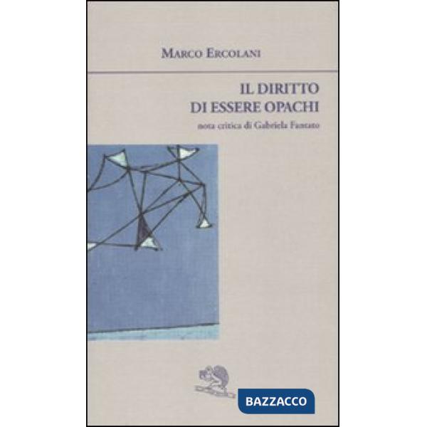 Diritto di essere opachi (Il)