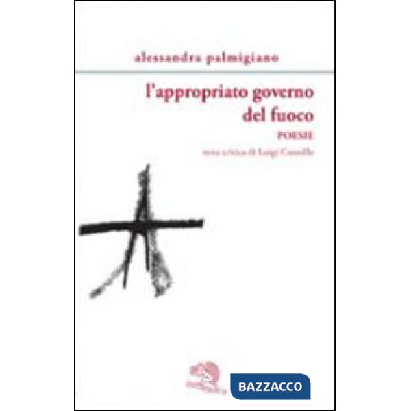 Appropriato governo del fuoco (L')