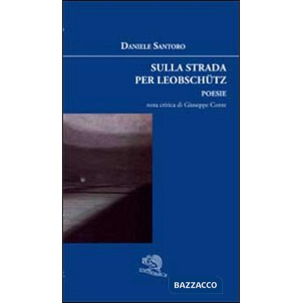 Sulla strada per Leobschutz