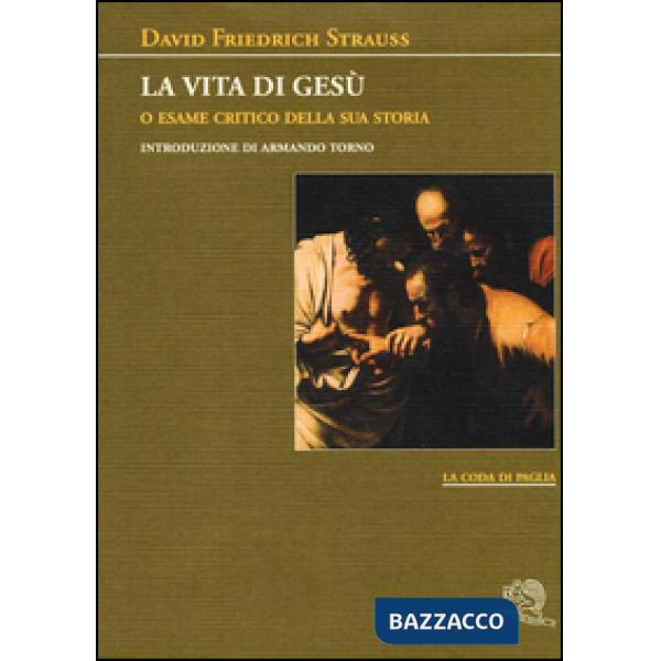 Vita di Gesù o esame critico della sua storia (La)