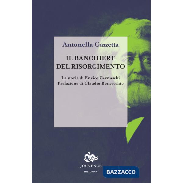 Banchiere del risorgimento. La storia di Enrico Cernuschi (Il)