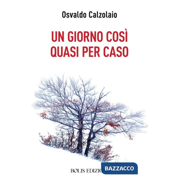 Giorno così quasi per caso (Un)