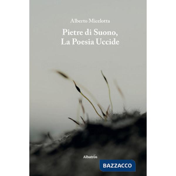 Pietre di suono, la poesia uccide