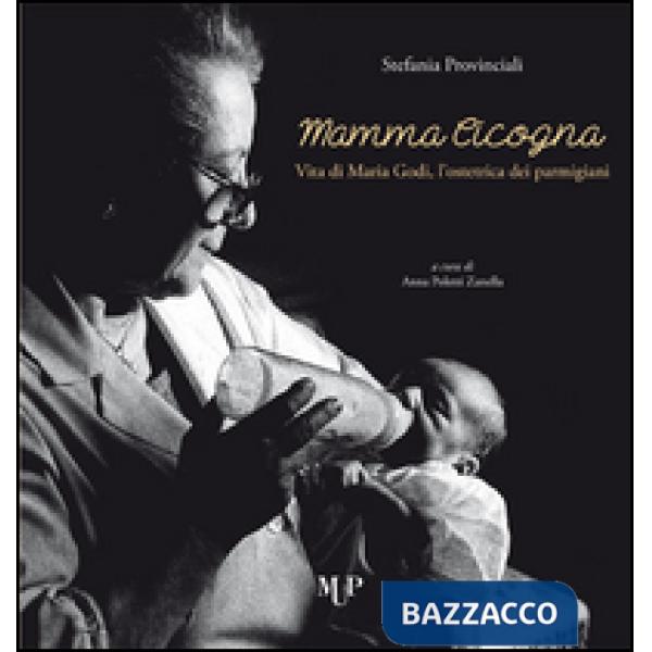 Mamma cicogna. Vita di Maria Godi, l'ostetrica dei parmigiani