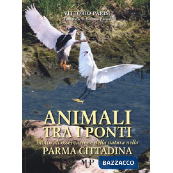 Animali tra i ponti. Invito all'osservazione della natura nella Parma cittadina
