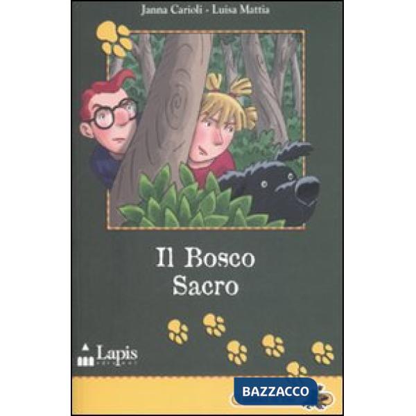 Bosco sacro. Ediz. illustrata (Il)