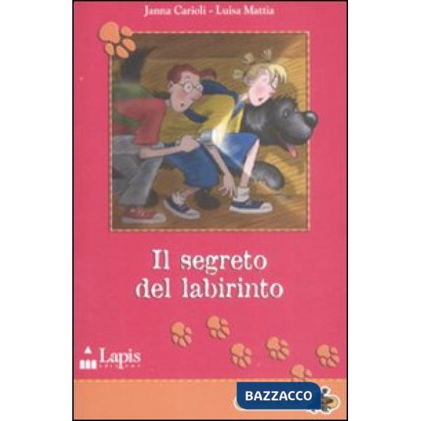 Segreto del labirinto (Il)