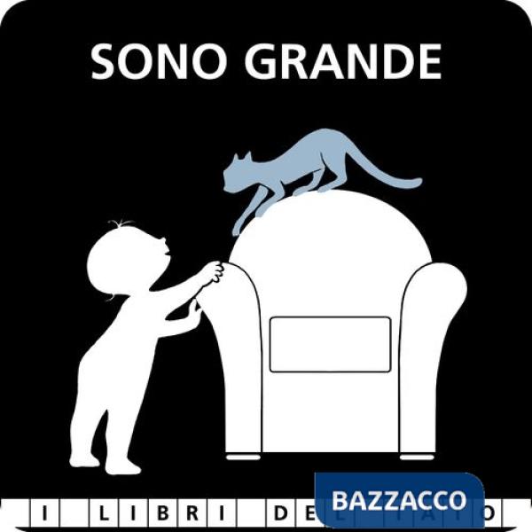 Sono grande. Ediz. illustrata