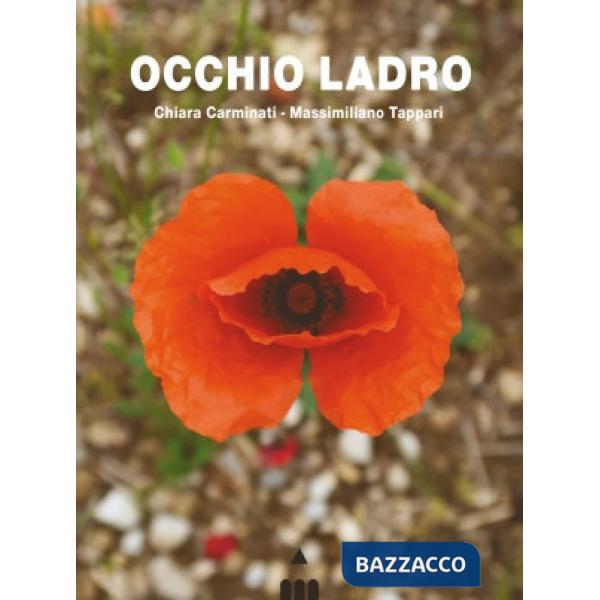 Occhio ladro