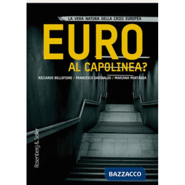 Euro al capolinea? La vera natura della crisi europea