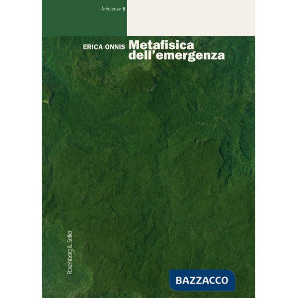 Metafisica dell'emergenza