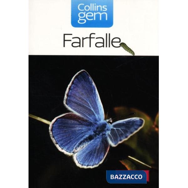 Farfalle